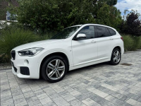 BMW X1 Bardzo zadbana Poznań - zdjęcie 2