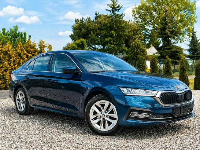 Škoda Octavia 2,0 diesel 150hp DSG Sadlno - zdjęcie 3