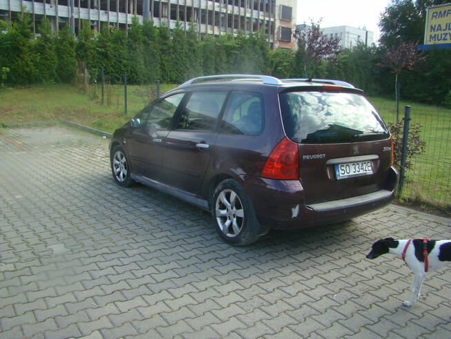 sprzedam Sosnowiec - zdjęcie 1