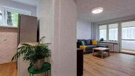 1pok, 30met, okolice Sienkiewicza PO REMONCIE (Wrocław) Śródmieście - zdjęcie 4