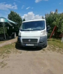 Ducato 2.3l L1H1 2011r zrobiony silnik. Grębocin - zdjęcie 5