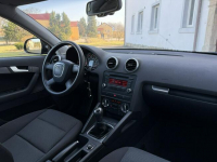 Audi A3 1.6MPI 102KM Sportback z Niemiec Zadbany Facelift Ocice - zdjęcie 7
