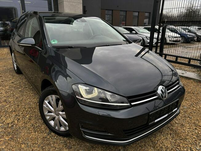 GOLF VII 1.4 125KM ALLSTAR led BIXENON navi SERWIS bezwypadek 2016 Tychy - zdjęcie 2