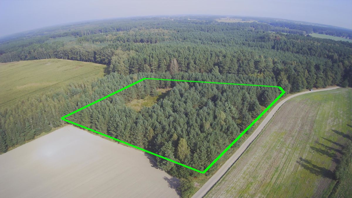 Okazja - Działka z prywatnym lasem | Wydane WZ Nowa Róża - zdjęcie 4