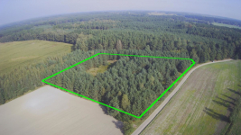 Okazja - Działka z prywatnym lasem | Wydane WZ Nowa Róża - zdjęcie 4