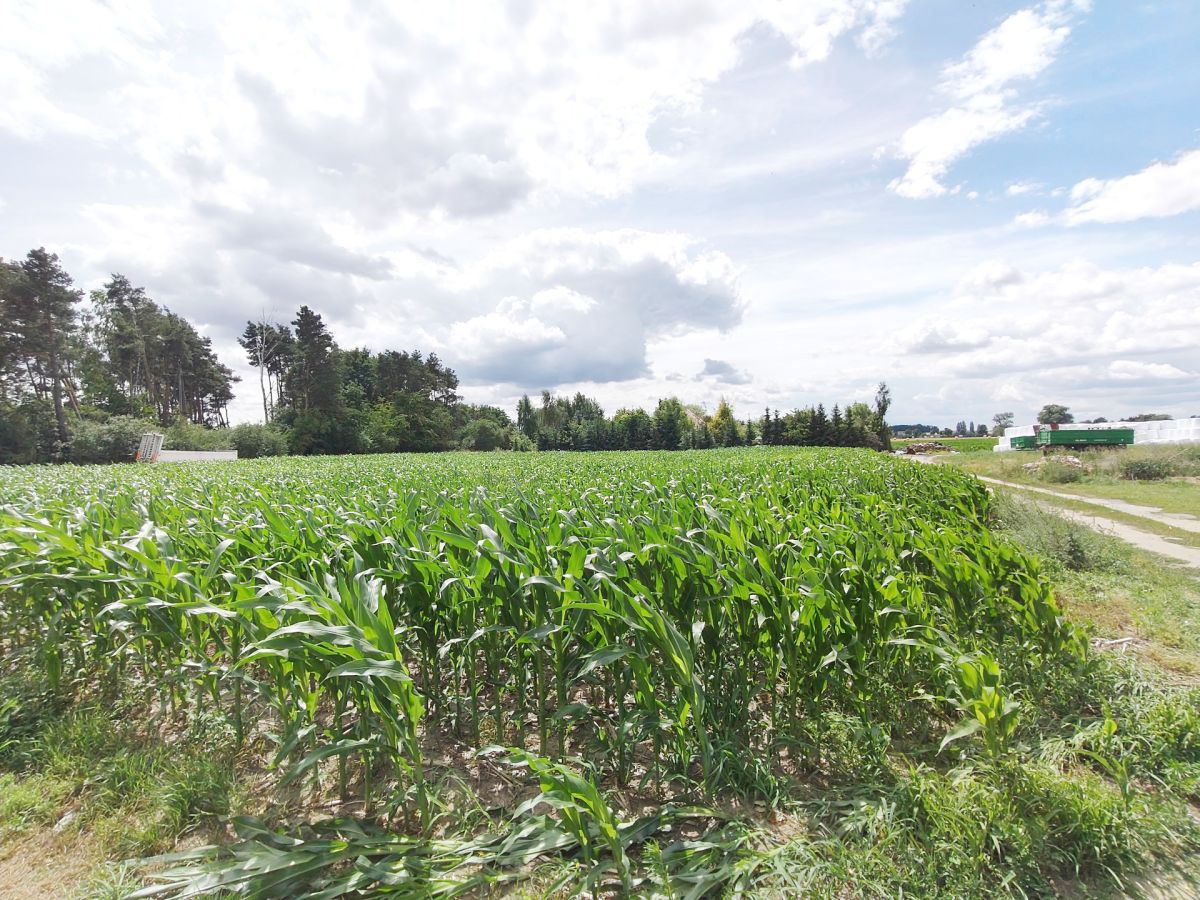 Działka z WZ, magazynowo - biurowe. Wysoczka - zdjęcie 2