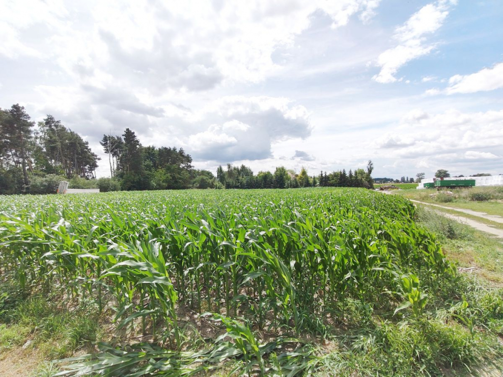 Działka z WZ, magazynowo - biurowe. Wysoczka - zdjęcie 2