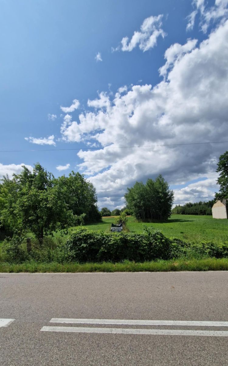 Działka rolno-budowlana w Dąbrówce Kościelnej Dąbrówka Kościelna - zdjęcie 6