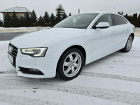 Audi A5 2,0tdi Navigacja.Skóry.Tempomat.Xenony.Ledy.Alu.kredyt! Kutno - zdjęcie 8