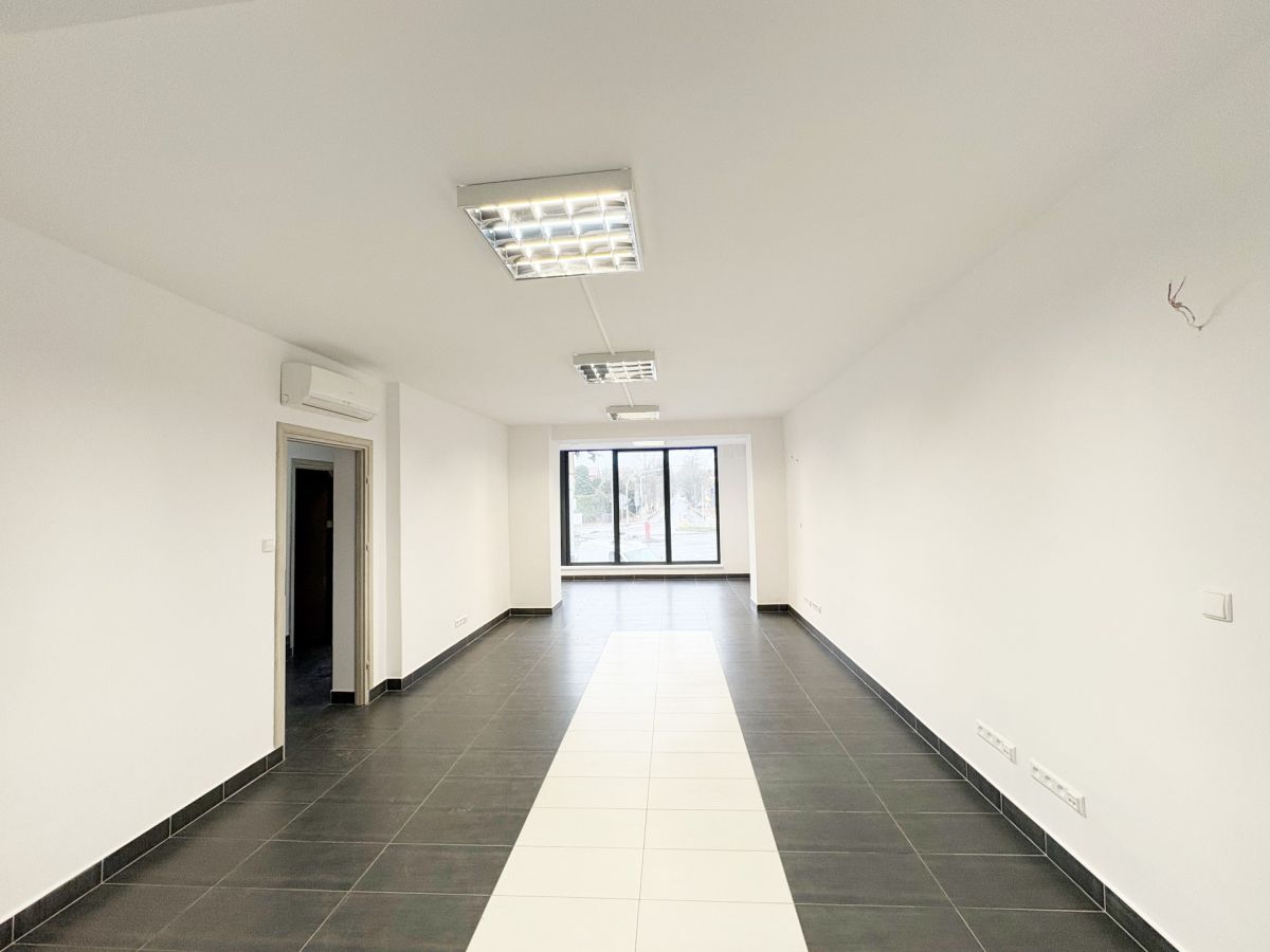 Budynek użytkowy pod działalność. Jeżyce - zdjęcie 5