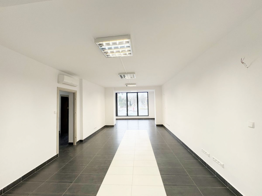 Budynek użytkowy pod działalność. Jeżyce - zdjęcie 5