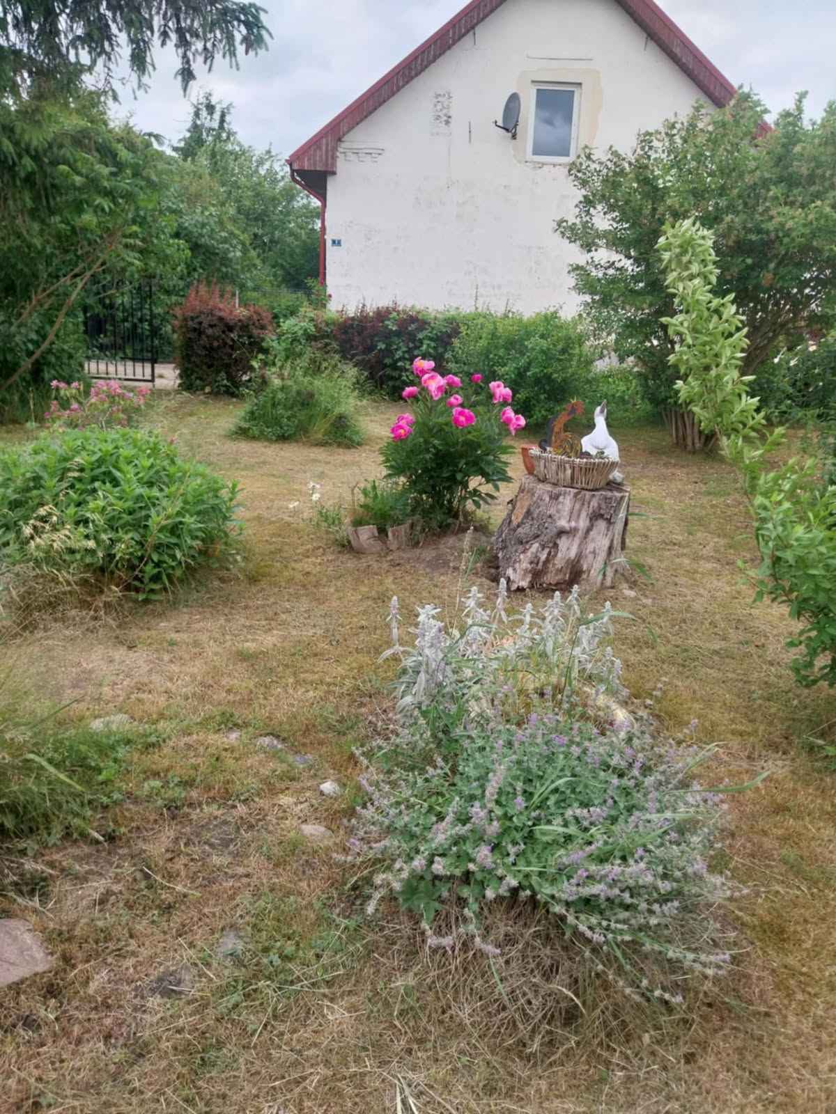 Ładny Dom z Działką Budowlaną Boguszyce - zdjęcie 6