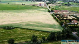 Na Sprzedaż działka 31534 m2 pod zabudowę domów wielorodzinnych Cieśle - zdjęcie 6