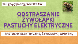 Odstraszanie dzikich zwierząt, Wrocław, kuna, sarna, lis, psy, koty, Psie Pole - zdjęcie 1