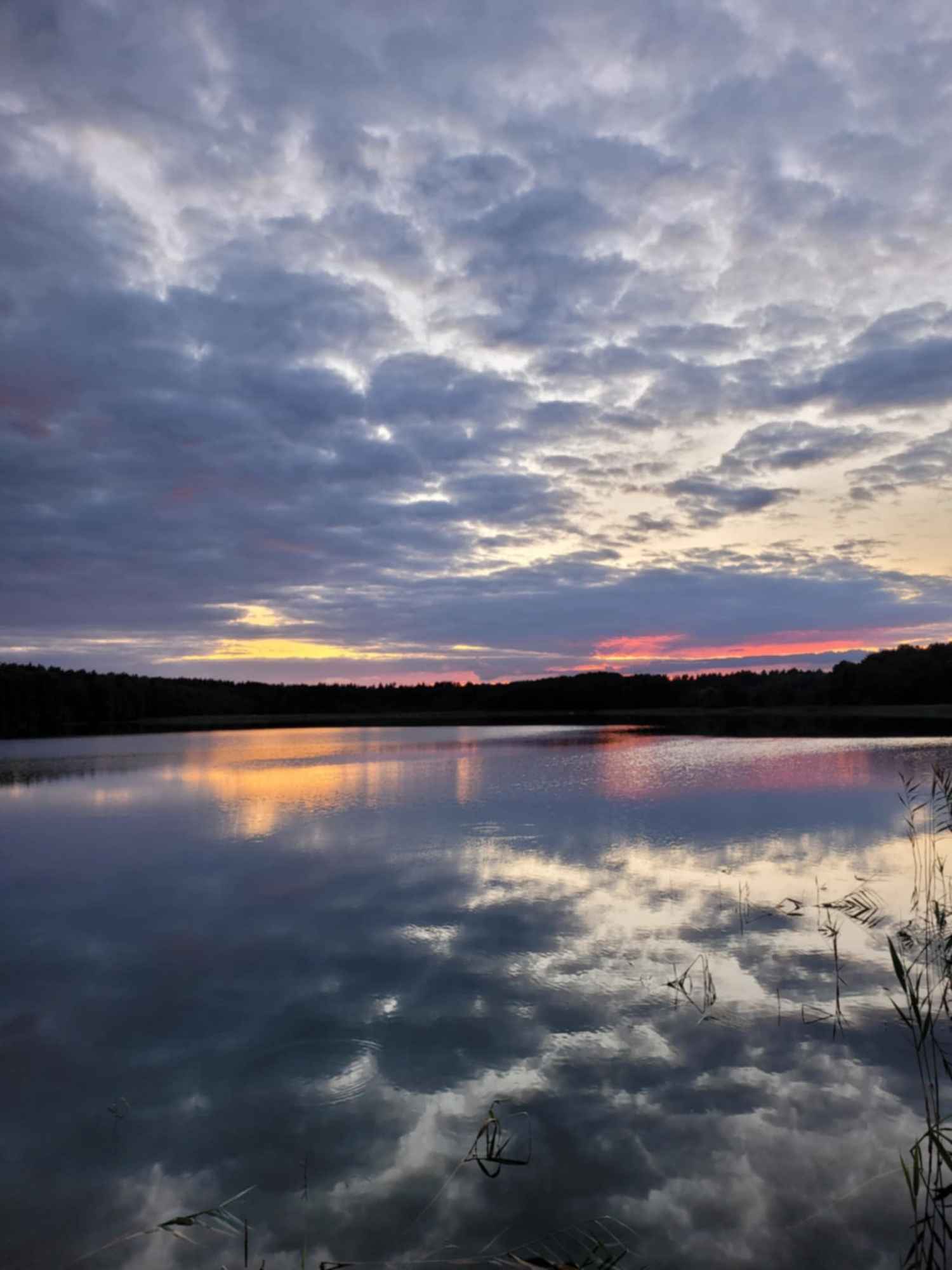 Pole kamperowe Stępień - zdjęcie 6