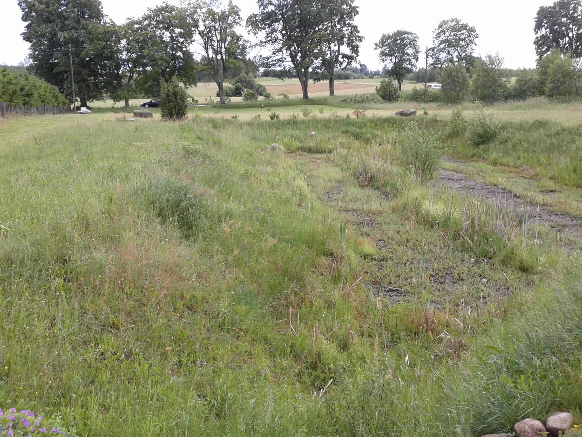 KASZUBY.DZIAŁKA BUDOWLANA. WARUNKI ZABUDOWY. Skrzydłowo - zdjęcie 4