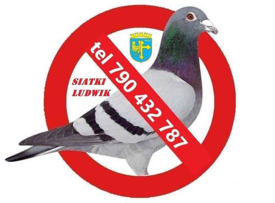 złota rączka Ludwik Opole Opole - zdjęcie 3