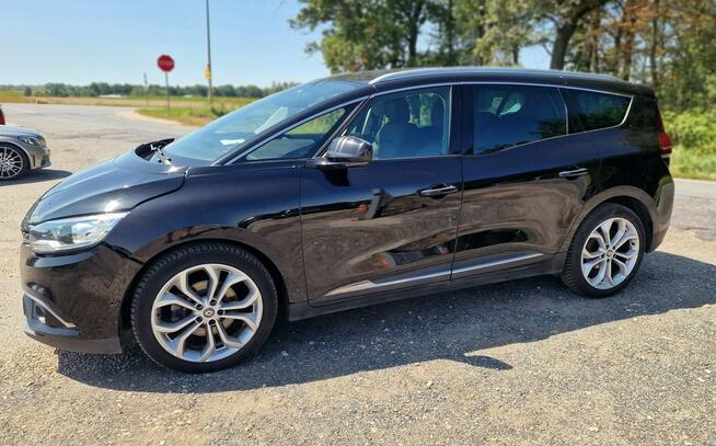 Renault Grand Scenic 7 osob  1.5dci 88.000tys km Pleszew - zdjęcie 1