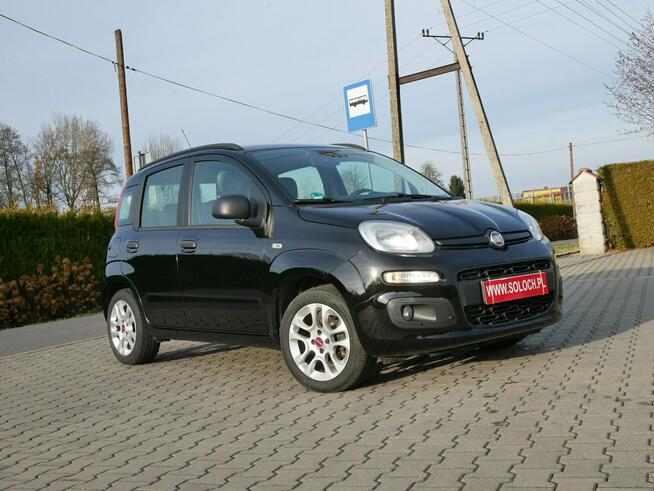 Fiat Panda 1.2 69KM [Eu6] Easy -Klima -Bardzo zadbany -Zobacz Goczałkowice-Zdrój - zdjęcie 7