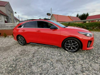 Kia Pro Cee'd GT line 1,4 Turbo Kamienna Góra - zdjęcie 7