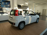 Fiat Panda Pandina  Icon 1.0 hybrid 70 KM Nowy Sącz - zdjęcie 2