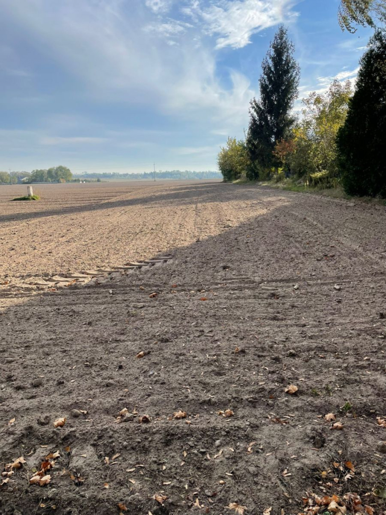 Działka budowlana w spokojnej okolicy! Promienko - zdjęcie 10