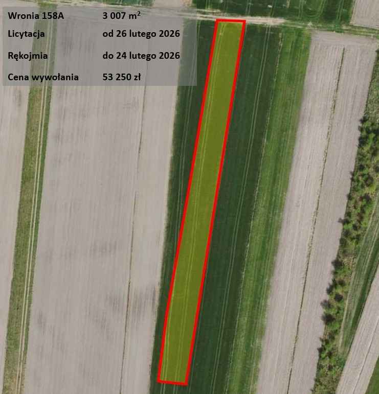 Grunt rolny, uzbrojenie w drodze, licytacja Piotrków Trybunalski - zdjęcie 1