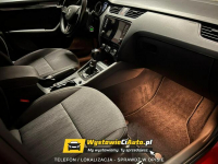 Škoda Octavia Telefon: 690_582_066 Lokalizacja: Bydgoszcz Bydgoszcz - zdjęcie 12