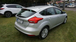 Ford Focus z Niemiec opłacony piękny . Gwarancja Zielona Góra - zdjęcie 5