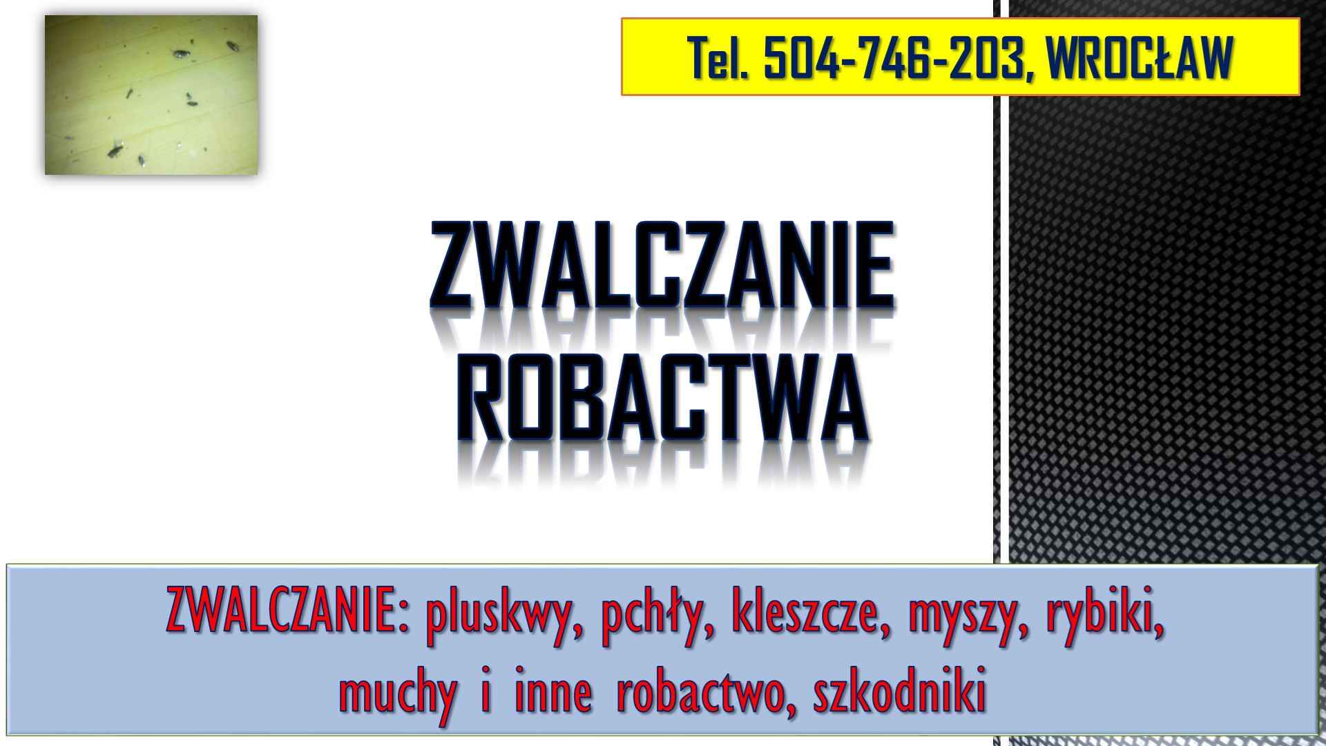 Rybiki zwalczanie, tel 504-746-203, dezynfekcja rybików, Wrocław. cena Psie Pole - zdjęcie 1
