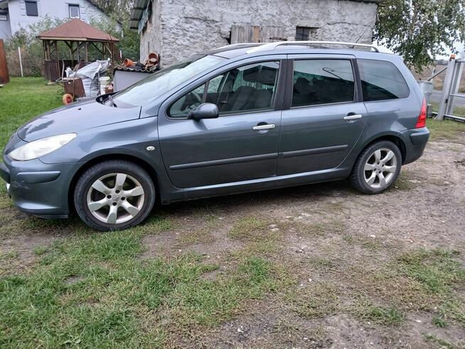 Peugeot 307 SW Piotrków Kujawski - zdjęcie 5