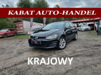 Volkswagen Golf Salon PL - Klimatronik - Pdc x 2 - Alu - Bardzo ŁADNY
