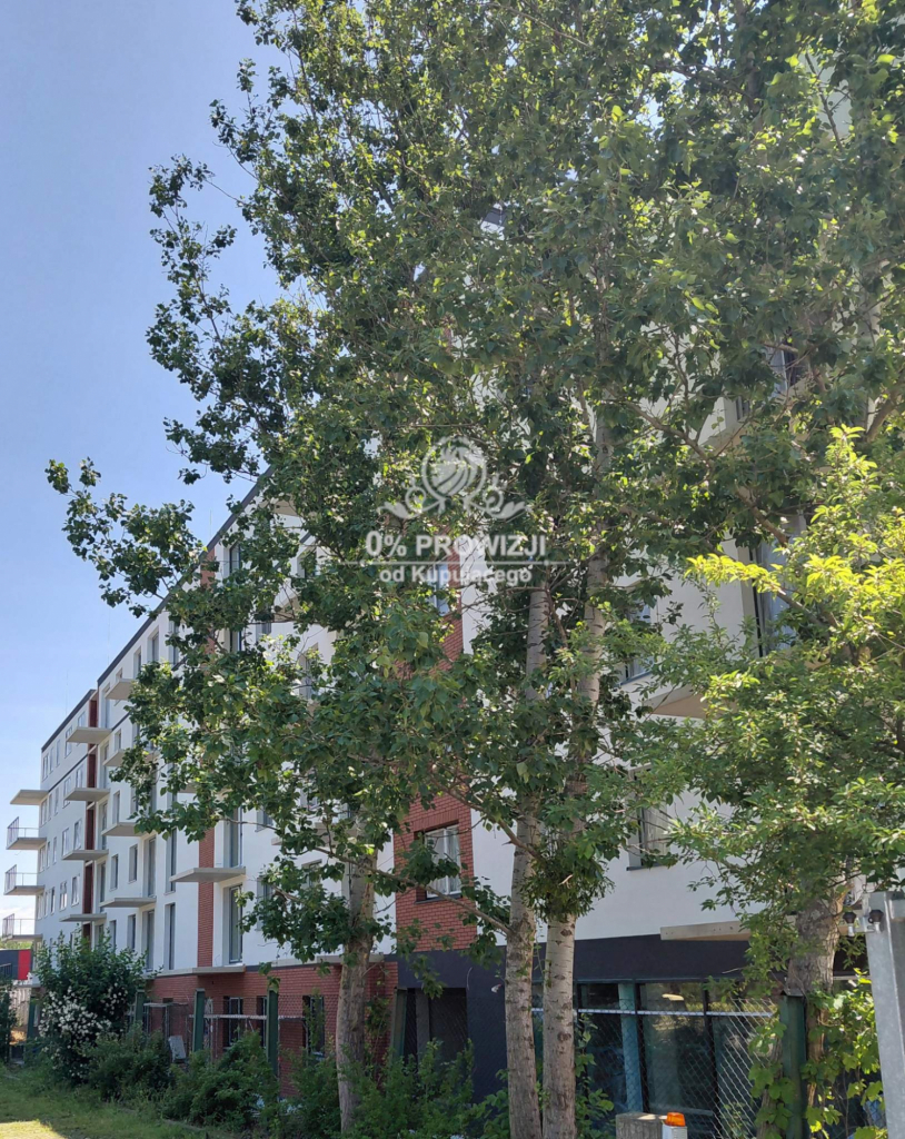 Piękne mieszkanie 3pokojowe z balkonem i loggią w centrum Wrocławia Wrocław - zdjęcie 12