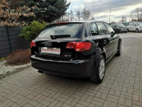 Audi A3 1.9 TDI 105KM Klimatronik Elektryka  Isofix Alu Felgi 16" Strzegom - zdjęcie 6