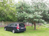 Sprzedam Płock - zdjęcie 12