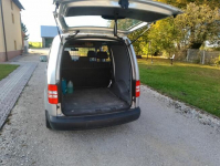 WV Caddy Maxi Wilkowa - zdjęcie 5