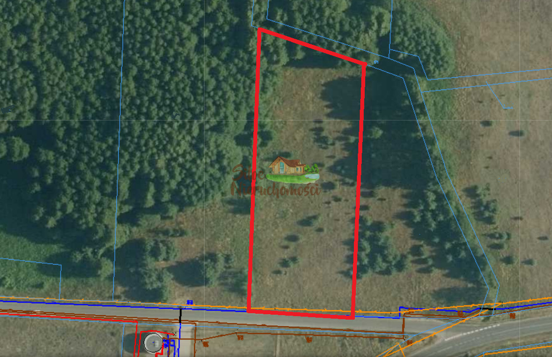 Działka rolna 0,5ha w pobliżu jezior Kuźnica Głogowska - zdjęcie 1