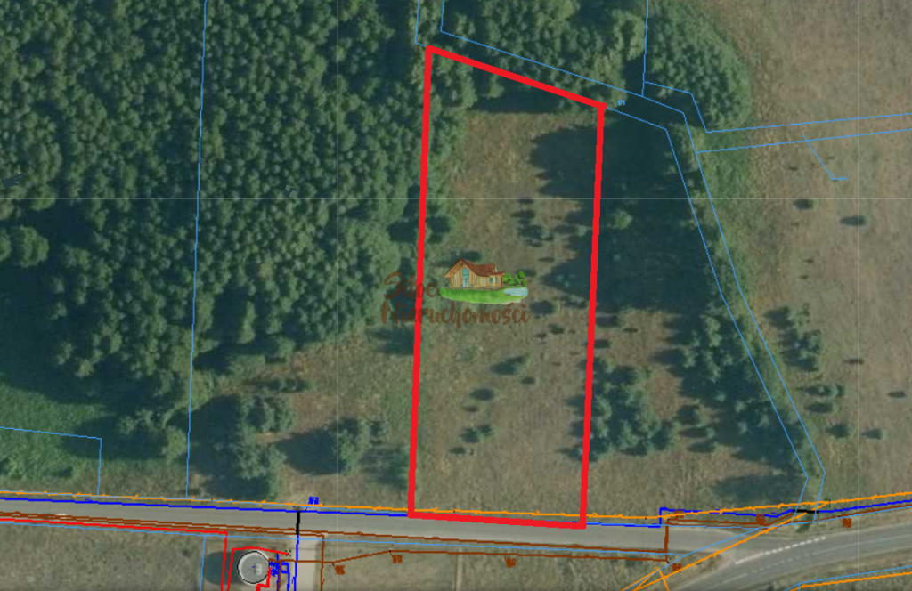 Działka rolna 0,5ha w pobliżu jezior Kuźnica Głogowska - zdjęcie 1