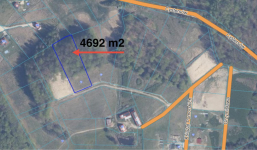 Malownicza okolica i prywatny las. Blisko jezioro Trzepowo - zdjęcie 8