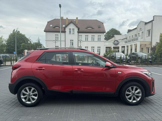 Kia Stonic M 1.2 84 KM/benzyna/grzane fotele/kamera cofania/gwarancja Toruń - zdjęcie 6