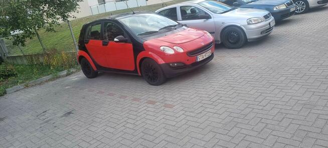 Smart Forfour Łuków - zdjęcie 1