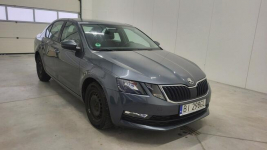 Škoda Octavia 1.6 TDI Active Grójec - zdjęcie 3