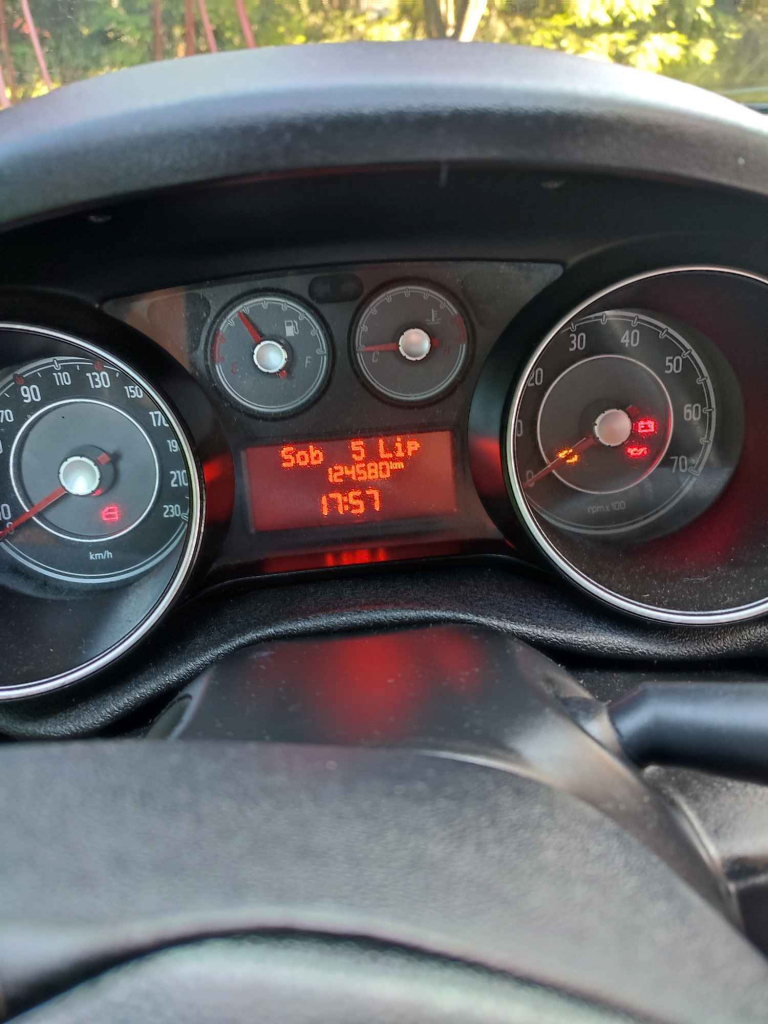 Fiat Punto Evo Łazy Biegonickie - zdjęcie 5