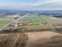 Działka inwestycyjna | Atrakcyjna lokalizacja Dąbrowa - zdjęcie 10