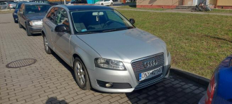 Audi A3 8P 1.6 TDI 2010 Nysa - zdjęcie 3