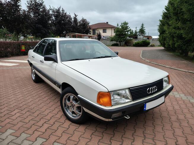 Audi 100 C3 Cygaro *5 cylindrów* Ostrołęka - zdjęcie 1