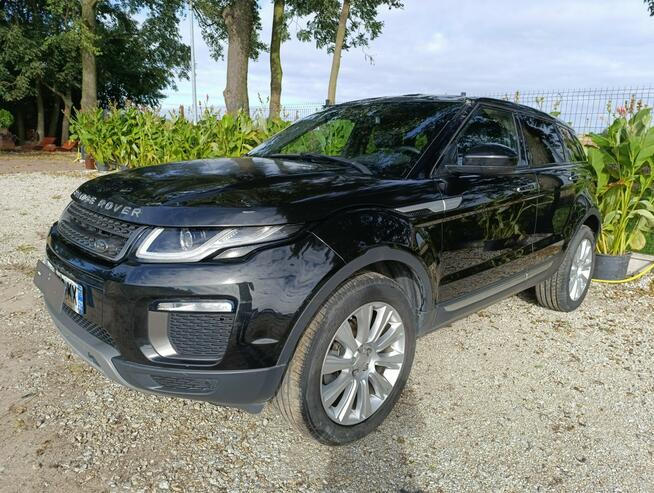 Land Rover Range Rover Evoque Evoque Pleszew - zdjęcie 9