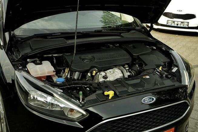 Ford Focus 1,5TDCI NAVI, 120KM, 2018r. Płock - zdjęcie 12