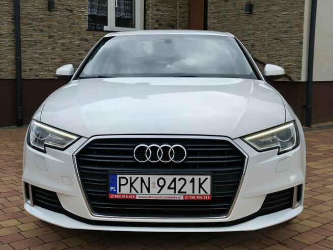 Audi A3 Sadlno - zdjęcie 3