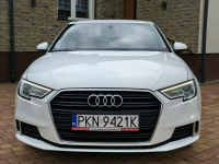Audi A3 Sadlno - zdjęcie 3